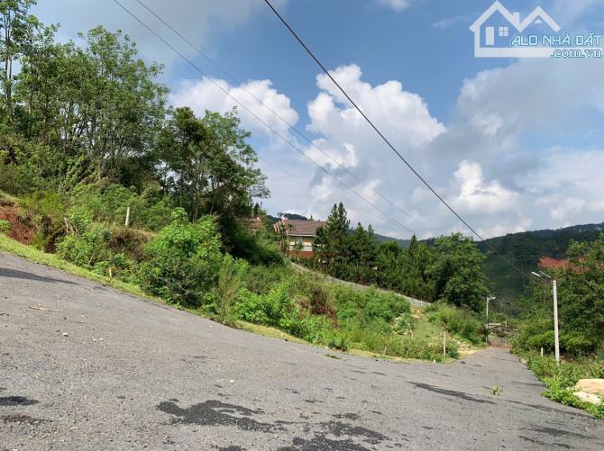 ĐẤT RỘNG SẴN NHÀ THÔ VIEW THÔNG GẦN VILLA NGHỆ SĨ TRƯỜNG GIANG ĐƯỜNG MĂNG LINE P7 ĐÀ LẠT - 4