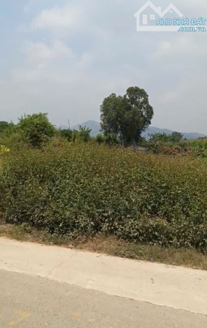 Bán đất Phước Hiệp (Luật Chánh), Tuy Phước. 100m2. Giá thấp - 5