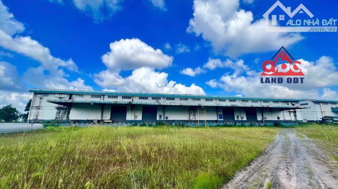 XT256 Cho thuê - Kho - Xưởng SX Nhẹ. Ngoài Khu Công Nghiệp. Long Thành. Đồng Nai. - 5
