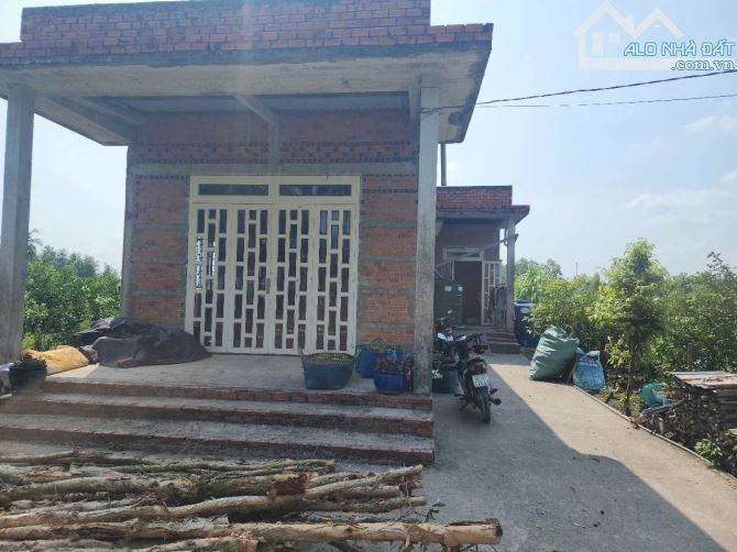Bán nhà vườn 1000m2 view kênh cực đẹp chỉ 1.1 tỷ - 5