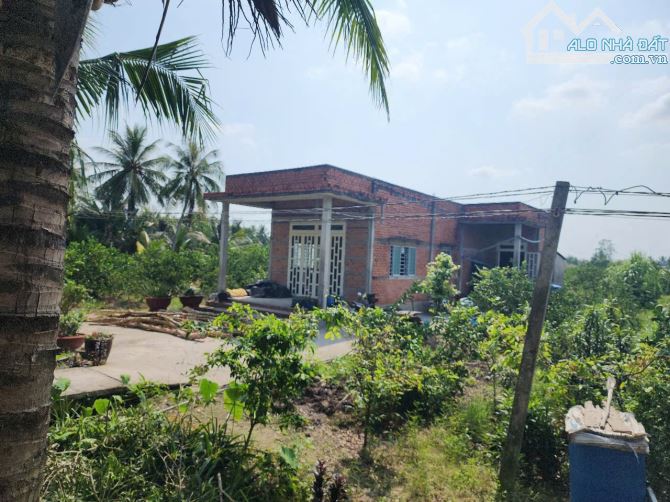 Bán nhà vườn 1000m2 view kênh cực đẹp chỉ 1.1 tỷ - 6