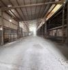 CHO THUÊ KHO XƯỞNG 1000- 2.900M² - MẶT ĐƯỜNG PHỐ ĐỨC GIANG, LONG BIÊN, HÀ NỘI