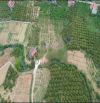 Bán khu đất đẹp trung tâm phường Thanh Hải -Thị Xã Chũ 4.160m2 giá nhỉnh 5 tỷ