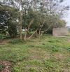 Bán đất - Điệp Nông,Vị trí đẹp,đầu tư sinh lời cao,đường ô tô,DT: 96m,Giá:680tr