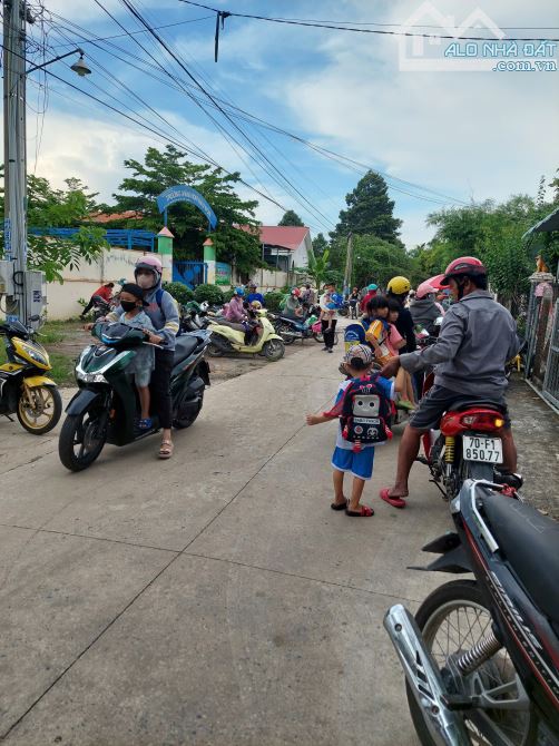Bán đất Tây Ninh gần chợ Bàu Đồn 2 mảnh dính liền nhau, mặt tiền đường bê tông, DT: 1700m2 - 8