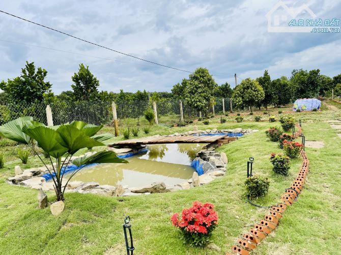 Chủ kẹt bán gấp 719 triệu/ 1000m2 đất Đồng Nai