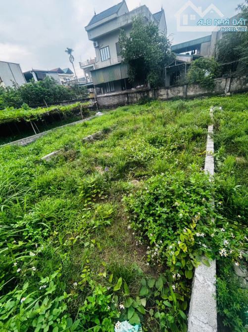 Nghiêm xuyên mảnh đất siêu tiềm năng