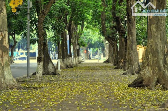 BÁN NHÀ PHỐ PHAN ĐÌNH PHÙNG, BA ĐÌNH, SIÊU HIẾM, ĐẦU TƯ, DT 40M2* 5 TẦNG* GIÁ 10 TỶ