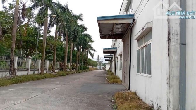 S.E.I Group Cho thuê kho xưởng 2.200m² tại Uy Nỗ – Có sẵn cẩu trục 5 tấn, hạ tầng đồng bộ