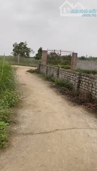 🆘 Bán lô đất thôn An Lạc xã Quang Thịnh- Lạng Giang- Bắc Giang