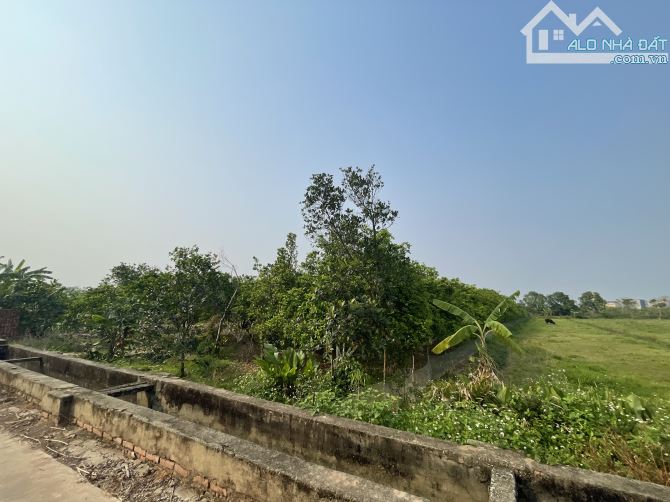 BÁN 1840m2 Đất TRÂU QUỲ - GIA LÂM NHỈNH 2tỷ Ô TÔ TRÁNH BA GÁC