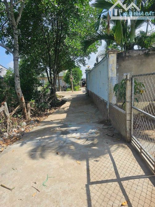 Bán lô đất đường bê tông Tam Thôn Hiệp, xã An Thới Đông, Cần Giờ - 5