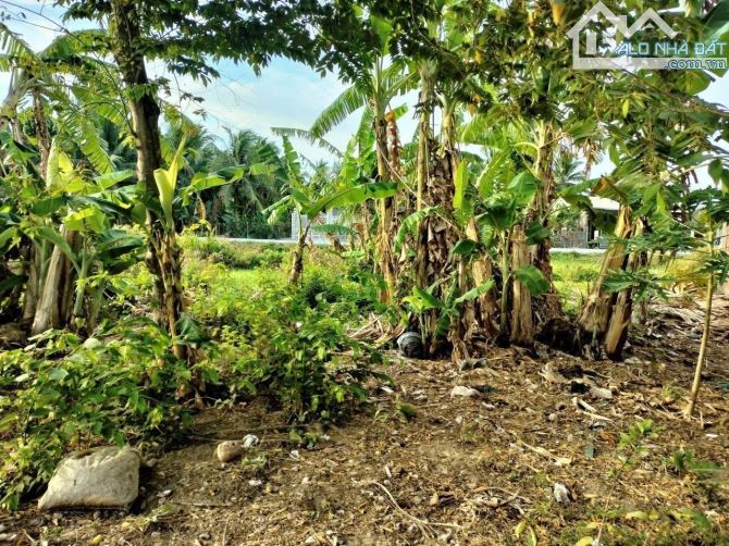 Cần bán đất nền gần chợ Sóc ruộng thành phố Trà Vinh, đường nhánh Hồ Thị Nhâm - 1