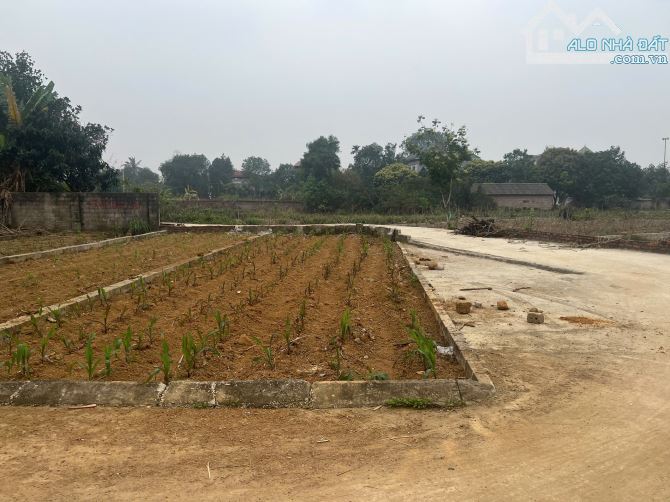 Cô của em cần bán nhanh lô đất 3 mặt tiền siêu đẹp cách khu CNC nhỉnh 1km - 1