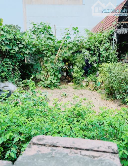 Bánn Hoa Hậu ngõ thông ô tô tránh nhau 50m TT Đông Anh zá rẻ - 1
