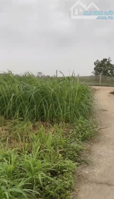 🆘 Bán lô đất thôn An Lạc xã Quang Thịnh- Lạng Giang- Bắc Giang - 1