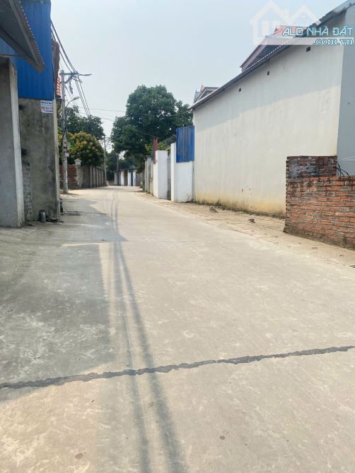 BÁN NHANH 240m ĐẤT FULL THỔ CƯ TẠI LẬP TRÍ, MINH TRÍ, SÓC SƠN. GIÁ 21,5TR/M. - 1
