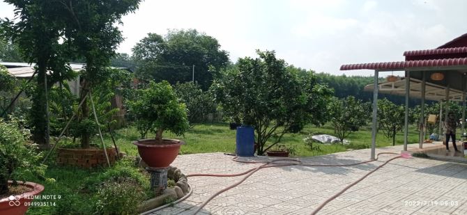 Bán Vườn Bười 6600m2 đường xe tải, Bình Lợi, Vĩnh Cửu, Đồng Nai, giá 8 tỷ 500. - 2