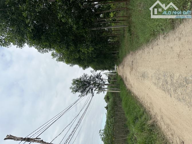 Ninh Sim - Ninh Hoà Đất giá rẻ cần tìm nhà đầu tư - 2