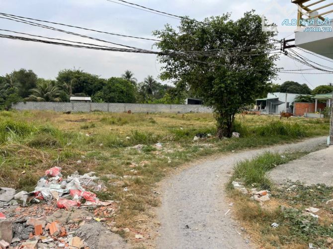 2228m2 đất thổ 3 mặt tiền xã Thanh Phú, Bến Lức giá 70 tỷ - 2