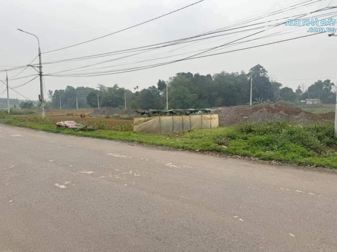 Bán đất Hoàng Cương, Thanh Ba, Phú Thọ 400m x 10m chỉ 5.1 tỷ - 2