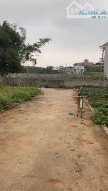 🆘 Bán lô đất thôn An Lạc xã Quang Thịnh- Lạng Giang- Bắc Giang - 2