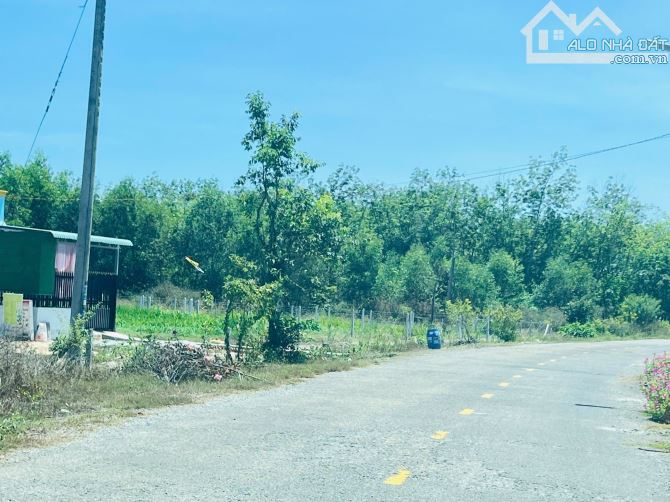 Cần bán gấp 2200m2 có 100tc đường nhựa dân đông giá cực rẻ 985tr sổ hồng sẵn - 2
