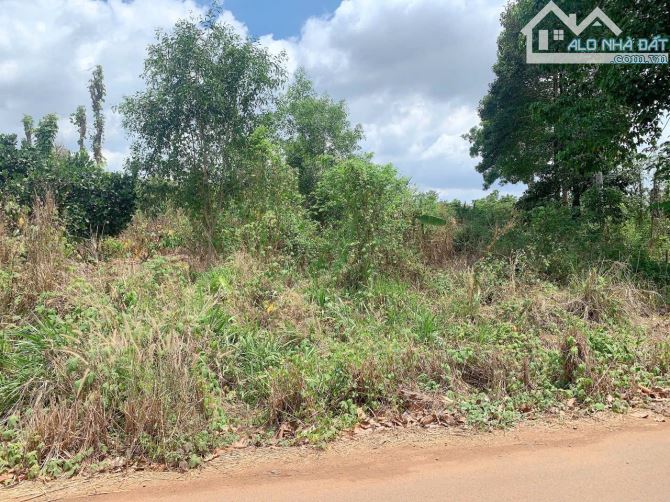 Bán khoảng 1 sào (1067m2) đất Láng Lớn, huyện Châu Đức, BRVT. - 2