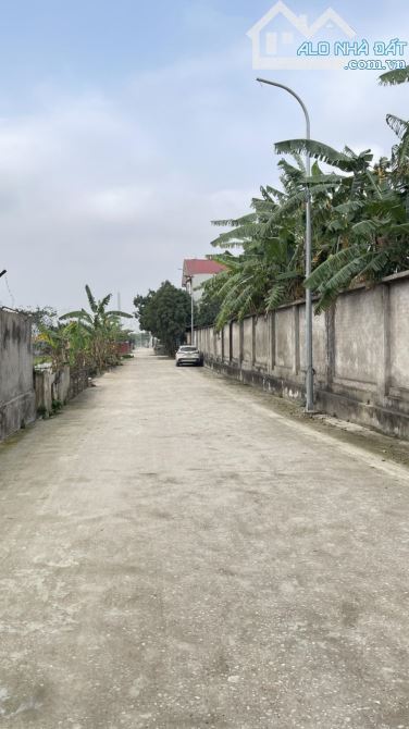 Liên Hà Đông Anh giá chưa đến 46 triệu/m. Lô góc 3 mặt thoáng - 2