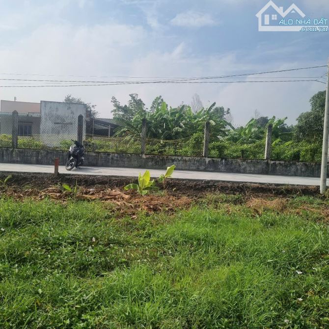 5×21 thổ hòa phú 549 triệu Cách tân an 100 bước chân rẻ - 3