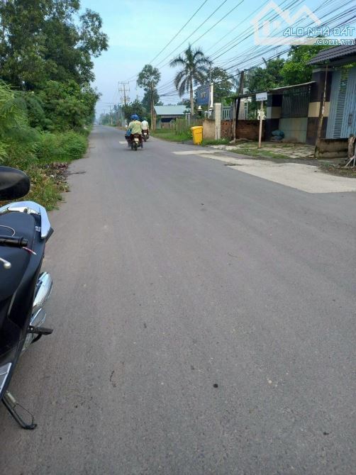 Ngộp bán rẻ đất nhà vườn Lý Thái Tổ Long Tân Nhơn Trạch gần Vành Đai 3, GIÁ RẺ 12ty/2700m - 3