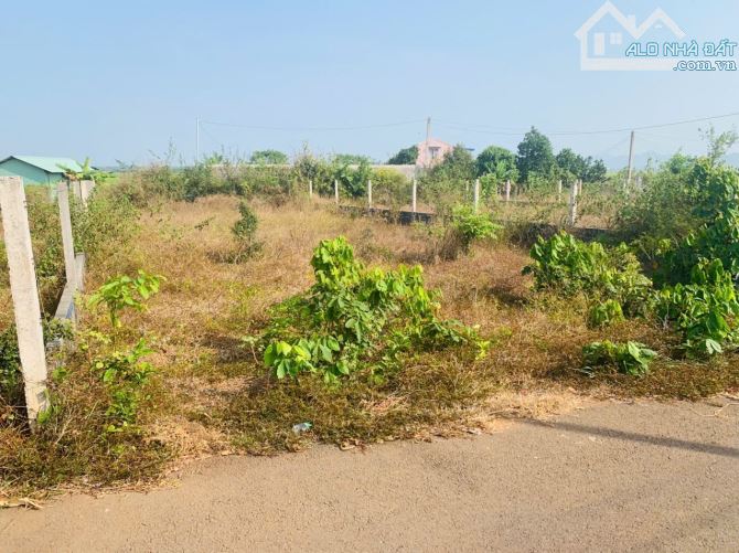 DT : 10x33*80m2 Thổ Cư,BÁN ĐẤT ĐẸP – SỔ HỒNG RIÊNG – ĐƯỜNG Ô TÔ – GIÁ TỐT - 3
