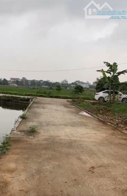 🆘 Bán lô đất thôn An Lạc xã Quang Thịnh- Lạng Giang- Bắc Giang - 3