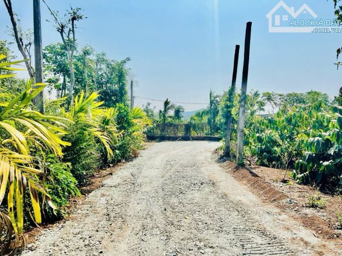 chiếc view HỒ 3 mặt tiền với 148m đỉnh huyện Cư Kuin - 4
