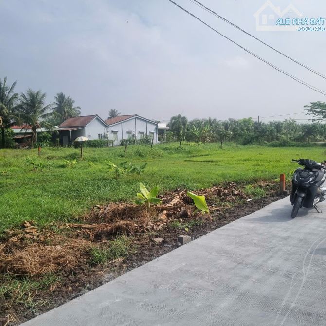 5×21 thổ hòa phú 549 triệu Cách tân an 100 bước chân rẻ - 4
