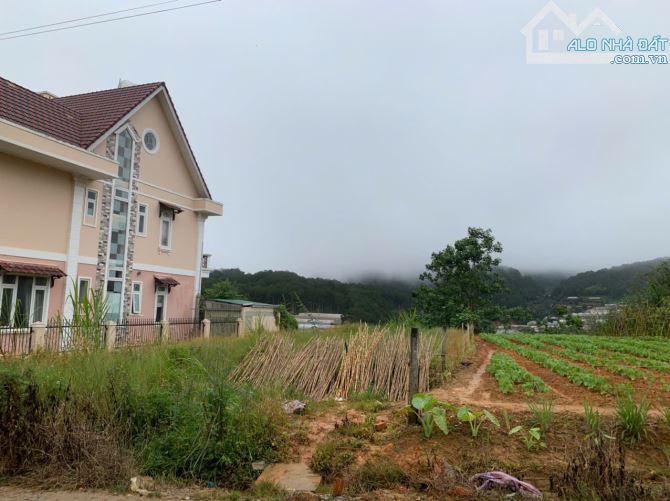 275M2 ĐẤT BIỆT THỰ AN SƠN (12x23) - VIEW NÚI RỪNG ĐẸP VĨNH VIỄN - CÁCH TRUNG TÂM CHỈ 3KM - - 4
