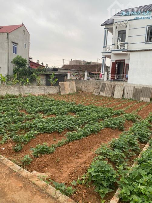 🆘 Bán lô đất thôn An Lạc xã Quang Thịnh- Lạng Giang- Bắc Giang - 4