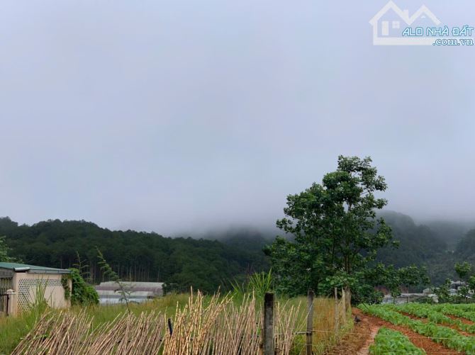 275M2 ĐẤT BIỆT THỰ AN SƠN (12x23) - VIEW NÚI RỪNG ĐẸP VĨNH VIỄN - CÁCH TRUNG TÂM CHỈ 3KM - - 5