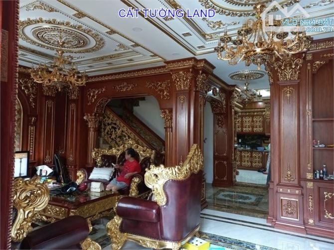 Biệt Thự Đẳng Cấp, Nội Thất Dát Vàng. Dương Quãng Hàm, Gò Vấp – Giáp Bình Thạnh - 6