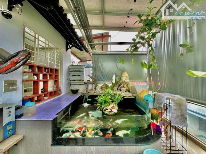 3 tỷ 050 bán nhanh nhà 40.7m2 Lê Hồng Phong, P2, Q5 - Xây trệt 2 lầu. Gần đại học Sài Gòn - 6