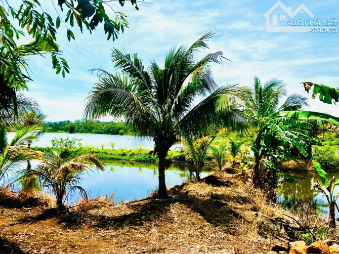 chiếc view HỒ 3 mặt tiền với 148m đỉnh huyện Cư Kuin - 8
