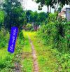 bán lô đất view cánh đồng thoáng mát tại xã Cư Ewi, Cư Kuin, Dak Lak