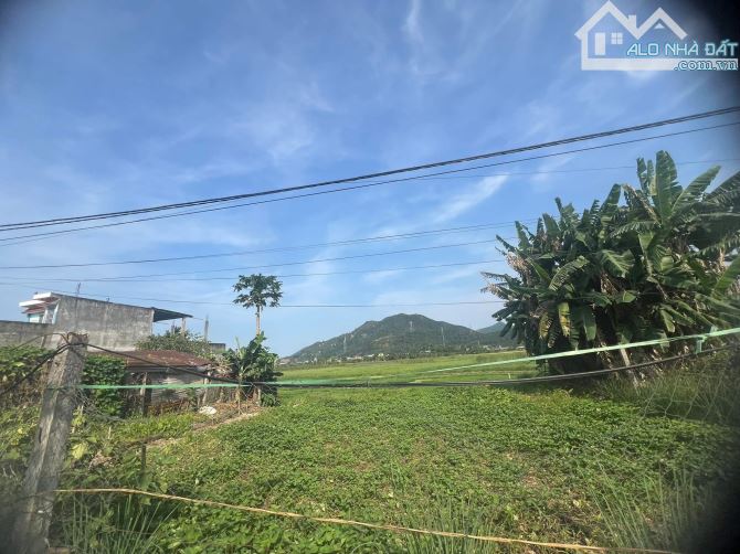 🎉🎉Bán đất kiệt thôn Hường Phước- Hoà Liên - Đà Nẵng - 3