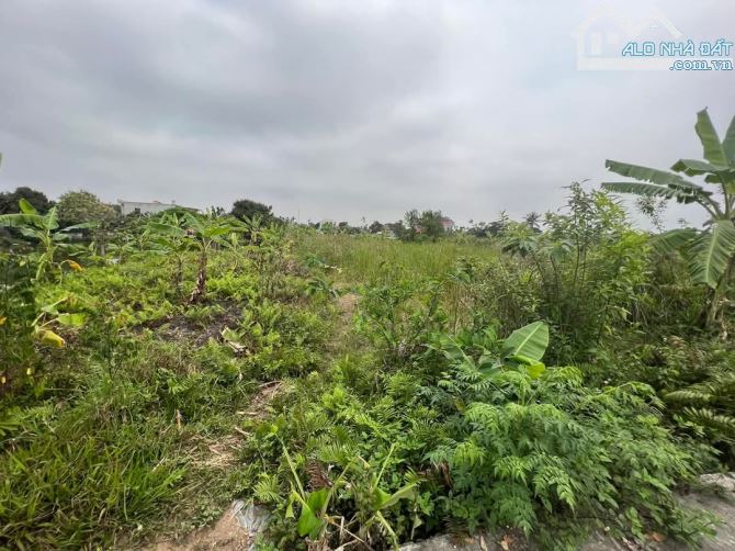 💥 BÁN LÔ ĐẤT 988M² – MINH ĐỨC, ĐỒ SƠN – GIÁ CHỈ 24 TỶ – TẶNG THÊM 1000M² ĐẤT 03 SIÊU LỢI