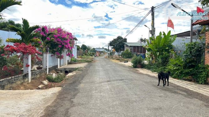 BÁN ĐẤT THÔN 8 CƯBUA BMT ĐƯỜNG NHỰA THÔNG TỨ PHÍA 5X28 TC 60M  GIÁ 799TR DÂN CƯ HIỆN HỮU T