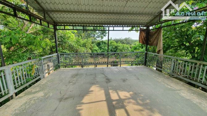 Bán vườn bưởi mặt tiền Bình Lục-Long Phú, Tân Bình, Vĩnh Cửu, 1200m2, giá 10 tỷ.