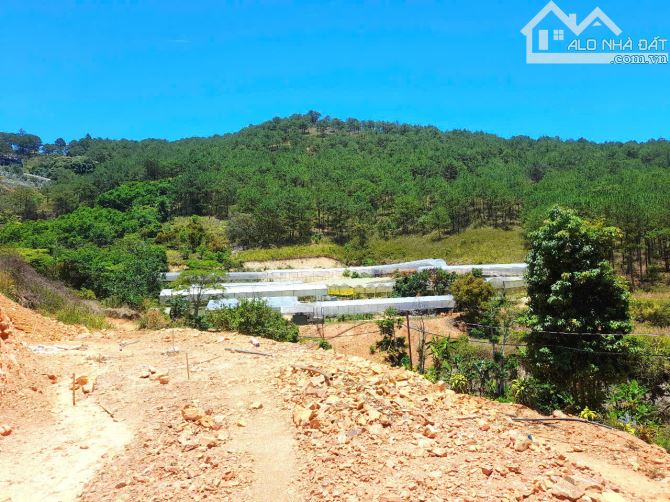 Bán đất view đẹp đồi thông khu dân cư trung tâm Đà Lạt, đi Hồ Xuân Hương hơn 4km