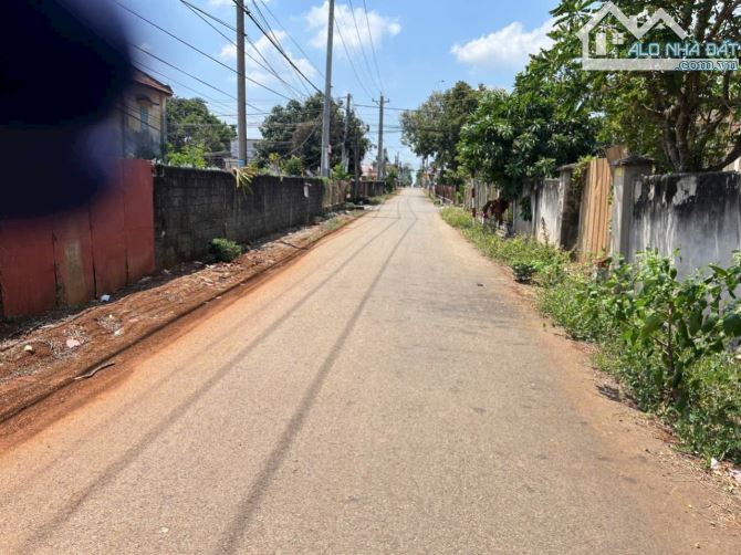 BÁN 2025M2 ĐẤT TẠI BÌNH TRUNG CHÂU ĐỨC, FULL  HỒNG ĐƯƠNG NHỰA GIÁ CHI 1.85 TỈ