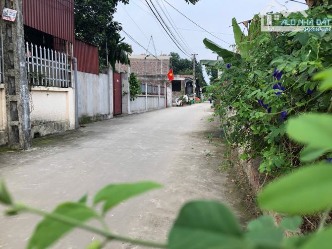🚗 Lô Góc Ô Tô Vào Tận Nơi – 50m² Đất Vuông Vắn – Tân An, Hiền Ninh, Sóc Sơn 🚗 👉