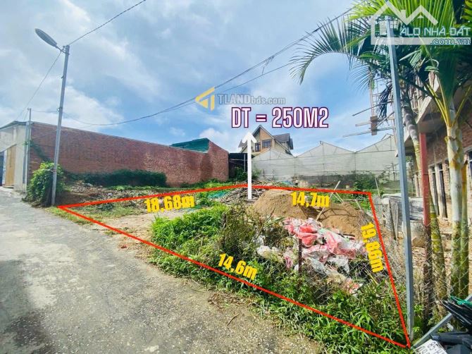 250M2 CÓ NGAY ĐẤT Ô TÔ BẰNG ĐƯỜNG TRẦN ĐẠI NGHĨA P8 ĐÀ LẠT - 1